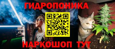 прущая мука Гусев