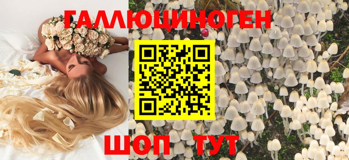 Темрюк  Псилоцибиновые грибы Magic Shrooms  Вход с VPN 