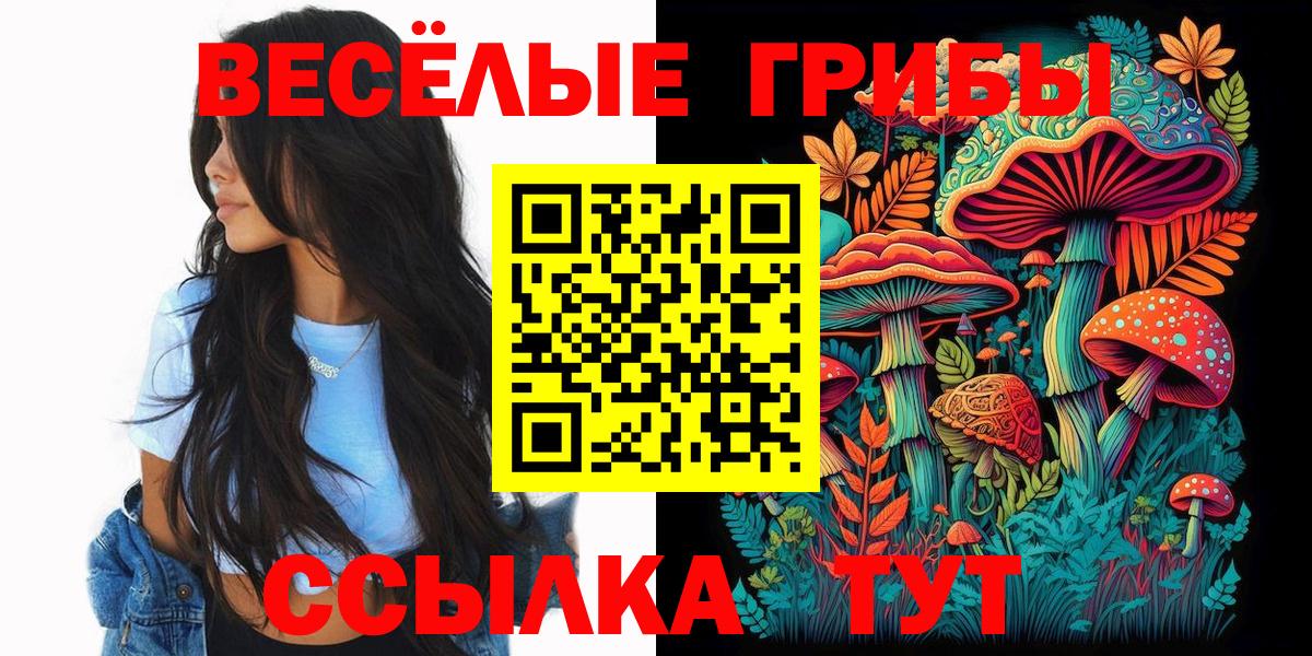 Псилоцибиновые грибы мухоморы Темрюк